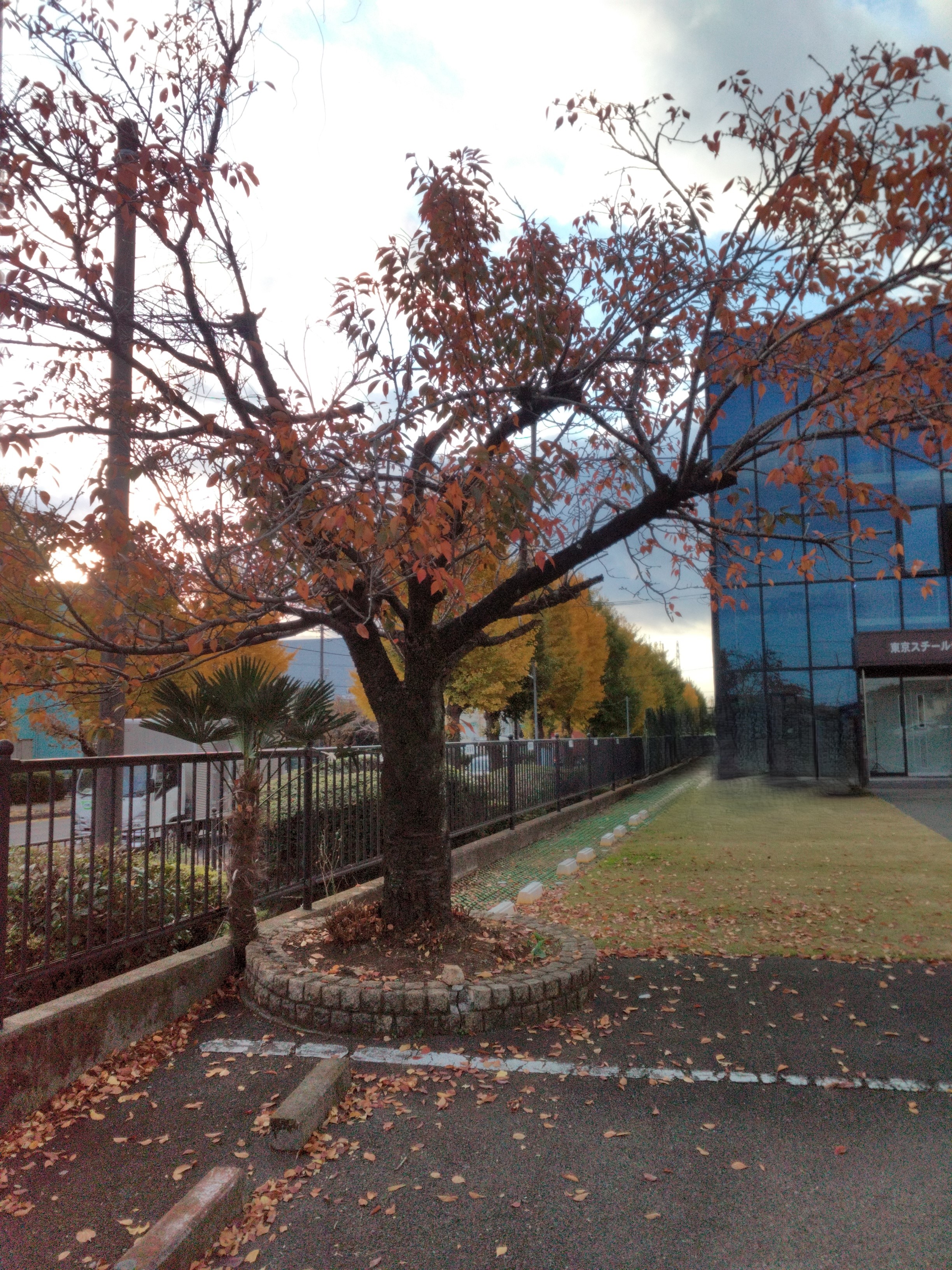 photo202412 1